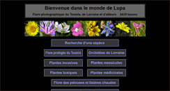 Desktop Screenshot of monde-de-lupa.fr