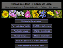 Tablet Screenshot of monde-de-lupa.fr